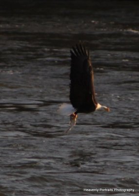 IMG_5896.JPG