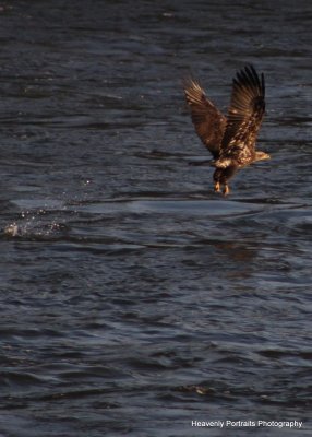 IMG_5901.JPG