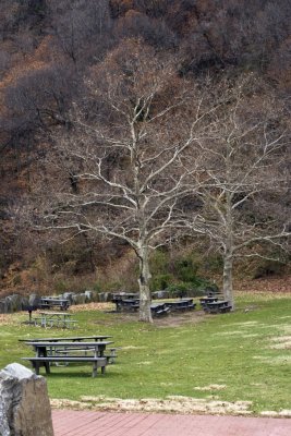 DSC01365a.jpg