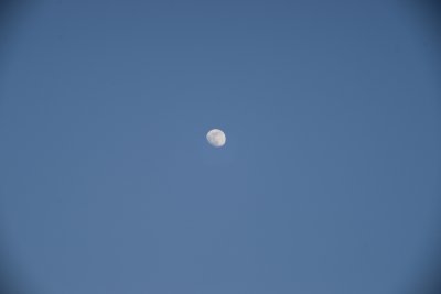DSC03489a.jpg