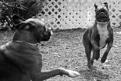DSC04087c.jpg
