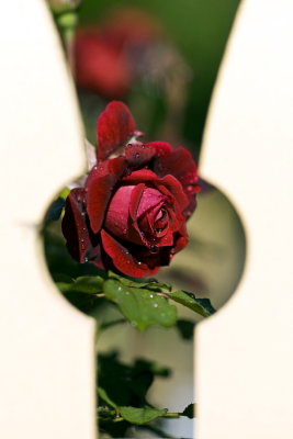DSC05820c.jpg