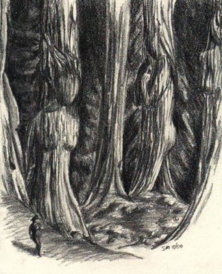 Dryads by Shannon Modla.jpg