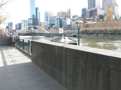 g1/38/124438/3/115502247.H3vJYlVr.jpg