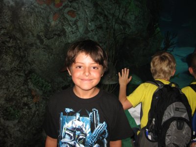 At The Aquarium