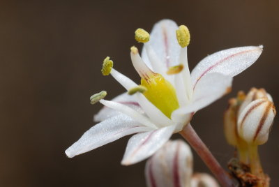 DSC_0054.JPG