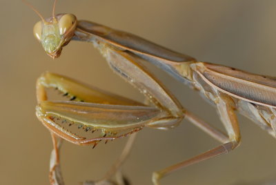 DSC_0039.JPG