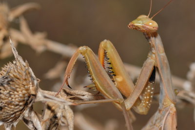 DSC_0048.JPG