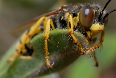 DSC_0087.JPG