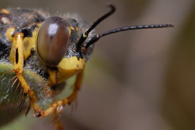 DSC_0088.JPG