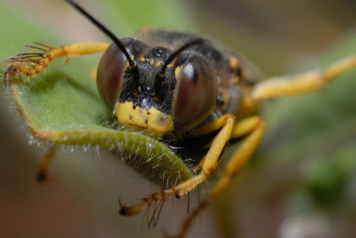 DSC_0098.JPG