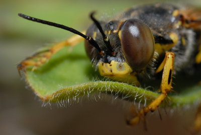 DSC_0100.JPG
