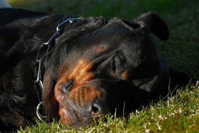 DSC_0127.JPG