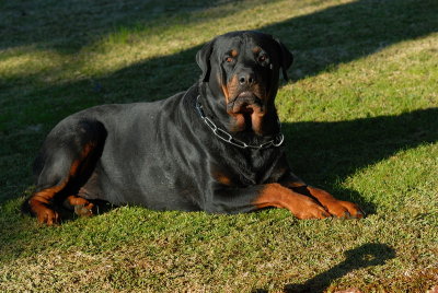 DSC_0136.JPG