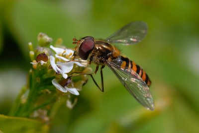 DSC_0072.JPG
