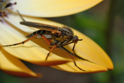 DSC_0001.JPG
