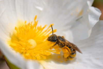 DSC_0090.JPG
