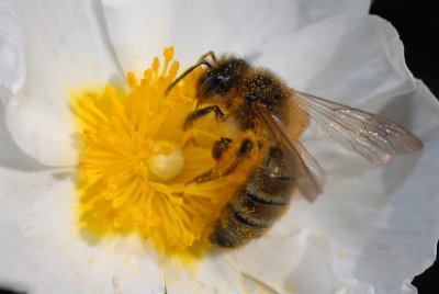 DSC_0091.JPG