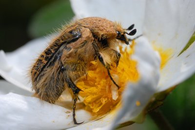 DSC_0097.JPG