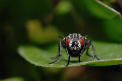 DSC_0102.JPG