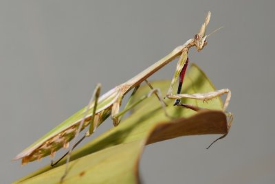 DSC_0005.JPG