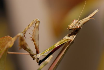 DSC_0018.JPG