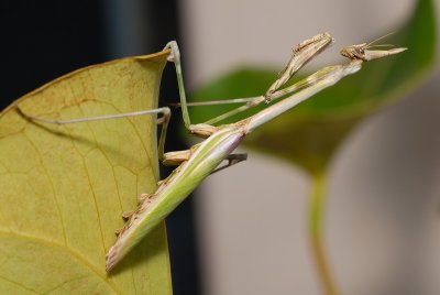 DSC_0024.JPG