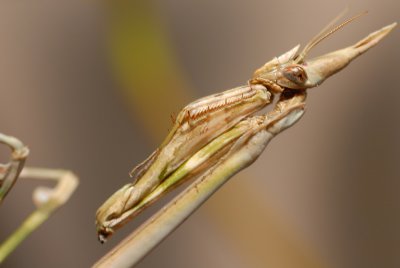 DSC_0026.JPG