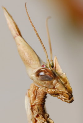 DSC_0059.JPG