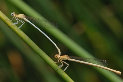 DSC_0123.JPG