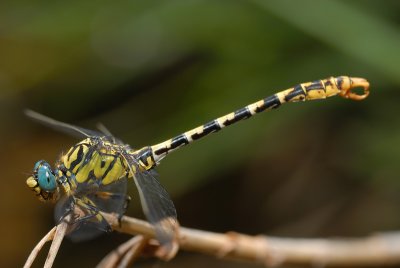 DSC_0126.JPG