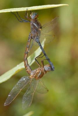 DSC_0140.JPG