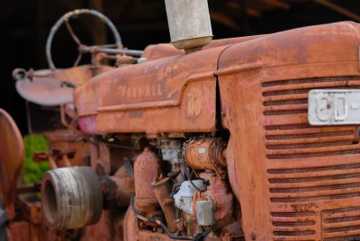 DSC_0062.JPG