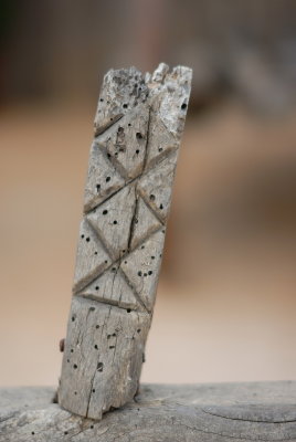 DSC_0085.JPG