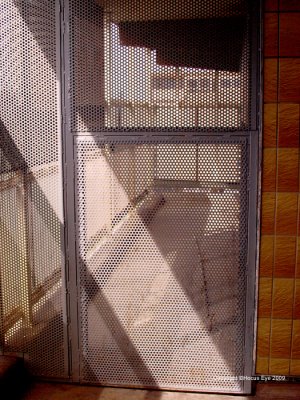 P5096574XVSP.jpg