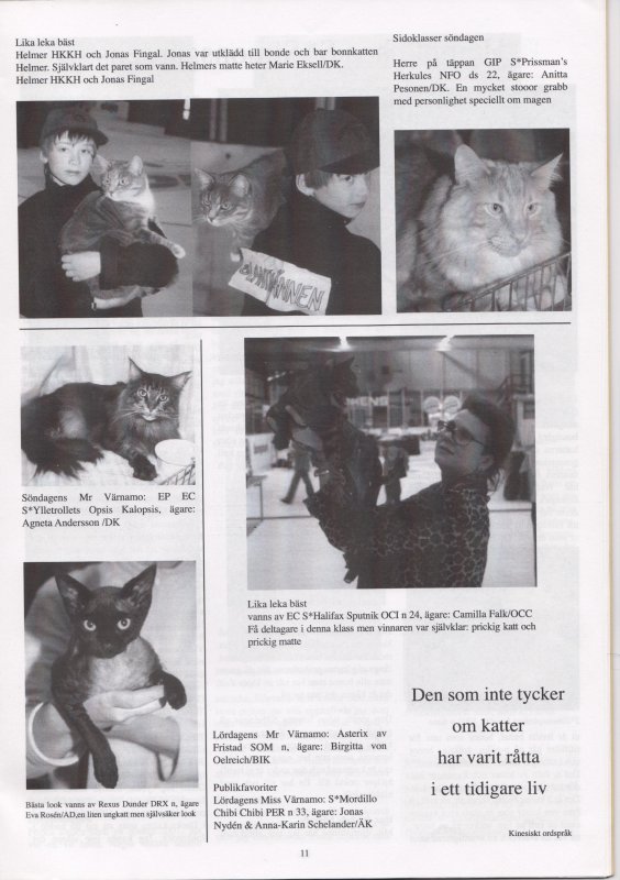 Dackekatten . Member News<br>2004