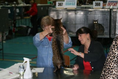 The Judge and her judge pupil are looking at his stomach