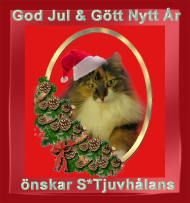 X-mas card from S*Tjuvhlans NFO 2008