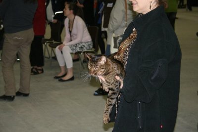 g1/38/203938/3/113621046.ozzfT0rv.jpg