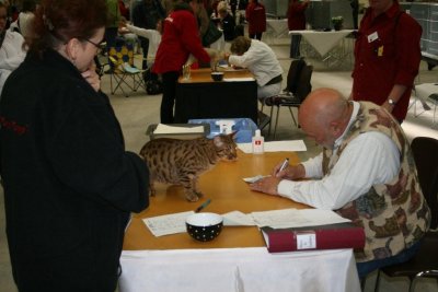 the Judge is writing on the paper