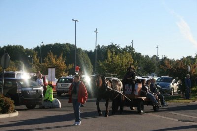 Horse & carriage