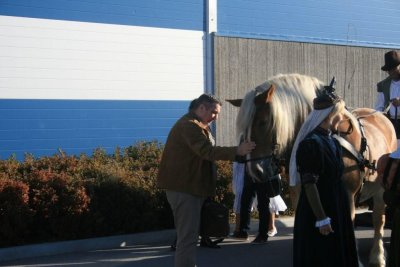 The Judge cuttle with the horse