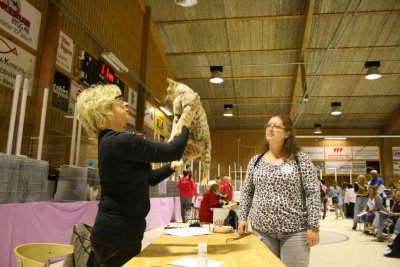CACSELK, Ulricehamn 2010-06-13