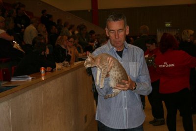 EX 1 & BIVVK, V.Frlunda 2010-11-07