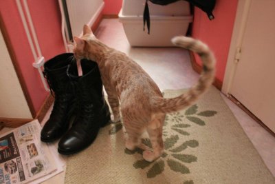 Otto check in to Anns boots