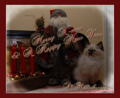X-mas card from  S*Mariamores RAG  2010