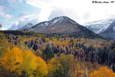 Alpine Loop