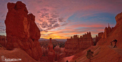 Bryce Canyon