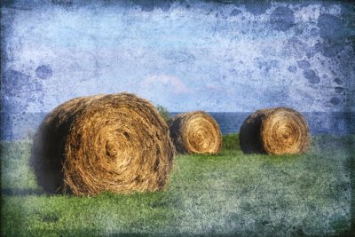 Hay Time On Amherst Island