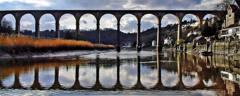 Calstock Viaduct, Devon (9706)